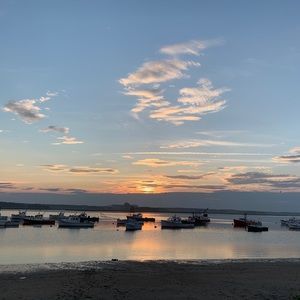 Meet your Posher, George